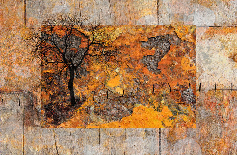 Le Jardin De Mon Grand Pere